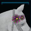 Mane flower for the horse