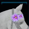 Mane flower for the horse