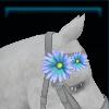 Mane flower for the horse