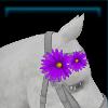 Mane flower for the horse