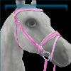 Deluxe Ski Trip bridle