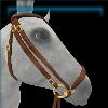 Cozy Sage bridle