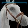 Bear Hug bridle