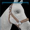 Hazelnut brown halter