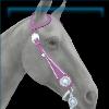 Rocky Mountain bridle pink