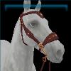 Autumn Academia Bridle