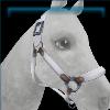 Snow white sunset trails halter