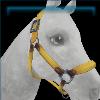 Honey sunset trails halter