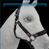 Onyx sunset trails halter