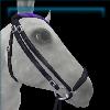 Night Rider bridle