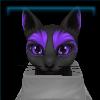 Kitt