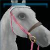 Moorland Championship bridle