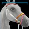 Moorland Championship elite bridle