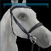 Fort Pinta Championship bridle