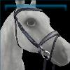 Fort Pinta Championship elite bridle