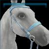 Silversong Pony Championship bridle