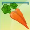 Carrot