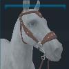 Scandinavian Sensibilities Bridle