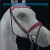 Premier Pink bridle