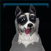 Prestigious Puppy