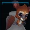 Brown Squirrel