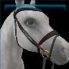 Supreme Scarlet bridle
