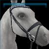 Plum Prestige  bridle