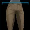 Golden Glory pants