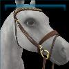 Golden Glory bridle