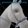 Rainbow Rodeo bosal