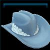 Rainbow Chasers Western hat