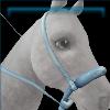 Rainbow Chasers Western bridle