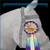 Rainbow Festival Ambassador Ribbon 2023