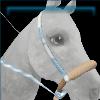 Blueberry bosal