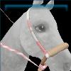Raspberry bosal