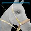 Lemon bosal