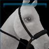 Tractor Rocker Dark bosal