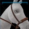 Soft Fringe Suede bosal