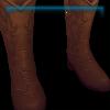 Sagebrush Brown Boots