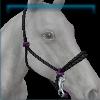 Warm Fall Day rope halter