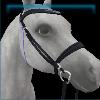 Birthday Set 2023 English bridle