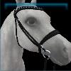 Lavender Dreams English bridle