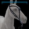 Goth Academia medallion bridle