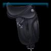 Haunted Dressage saddle