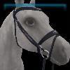 Haunted Dressage English bridle