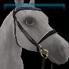 JVN Twilight gold English bridle