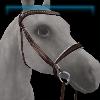 JVN Walnut silver English bridle