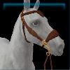 Terra Druid hackamore