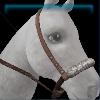 Yeti Hunter bosal
