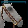 Down to Earth drop noseband bridle